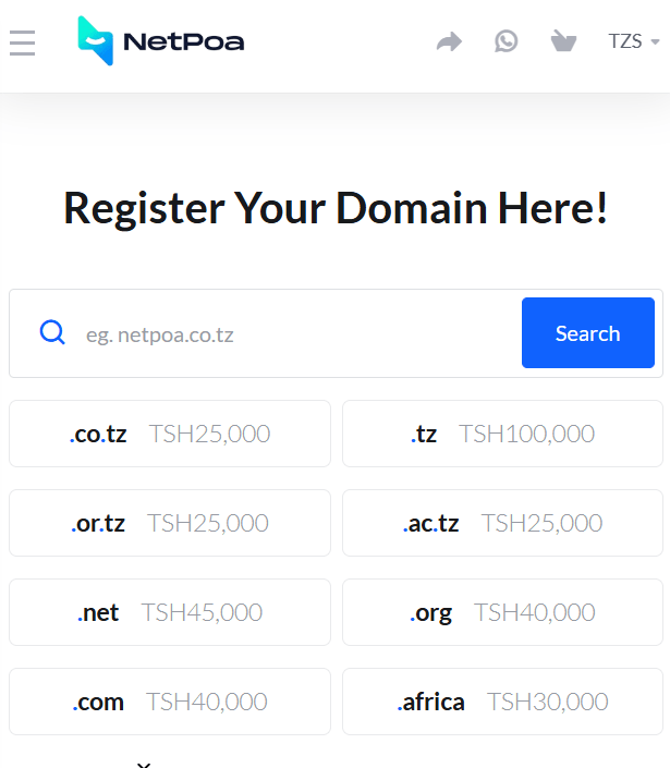 How to Register a .tz Domain Name in Tanzania (Step-by-Step Guide)